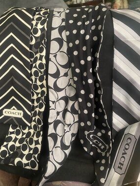 Coach silk ponytail purse scarves